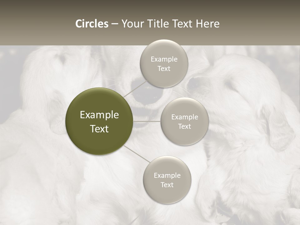 Puppy Breeding Motherhood PowerPoint Template