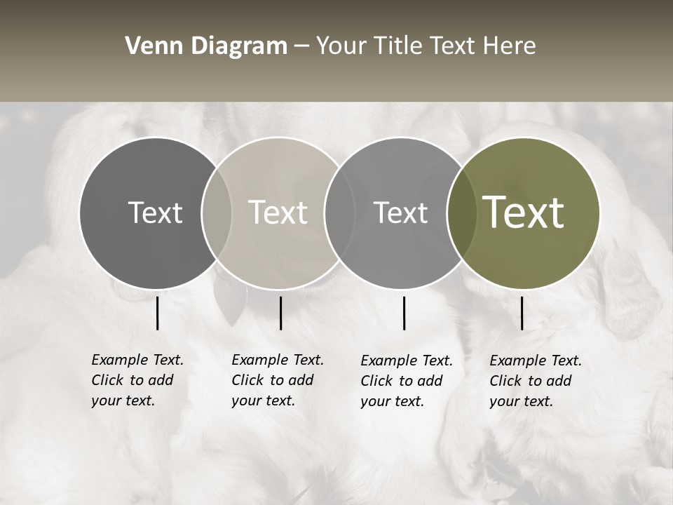 Puppy Breeding Motherhood PowerPoint Template