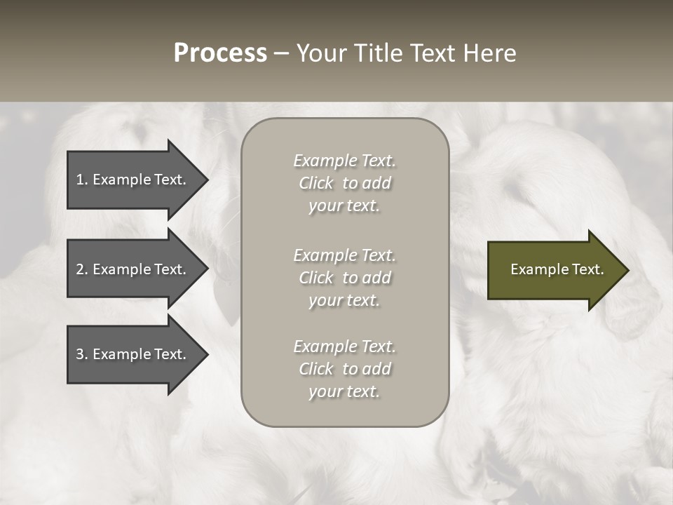 Puppy Breeding Motherhood PowerPoint Template