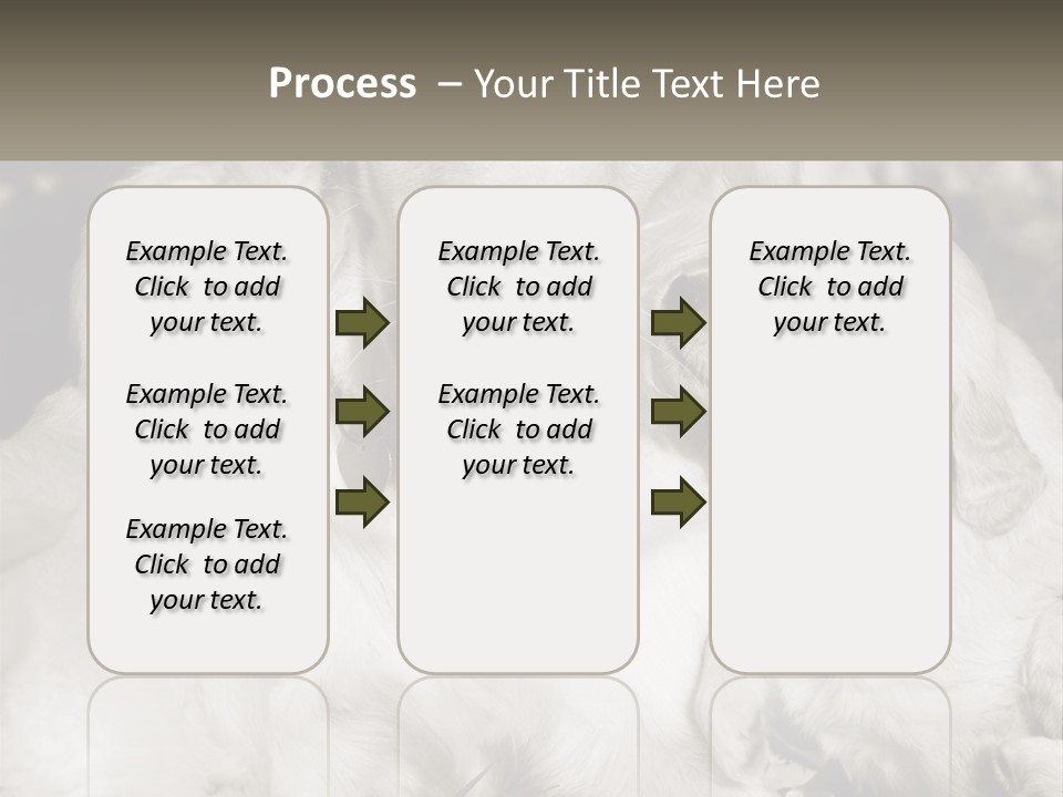 Puppy Breeding Motherhood PowerPoint Template