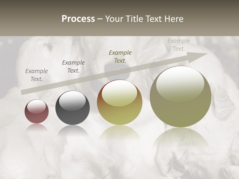 Puppy Breeding Motherhood PowerPoint Template