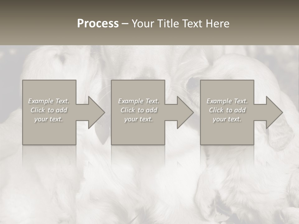 Puppy Breeding Motherhood PowerPoint Template