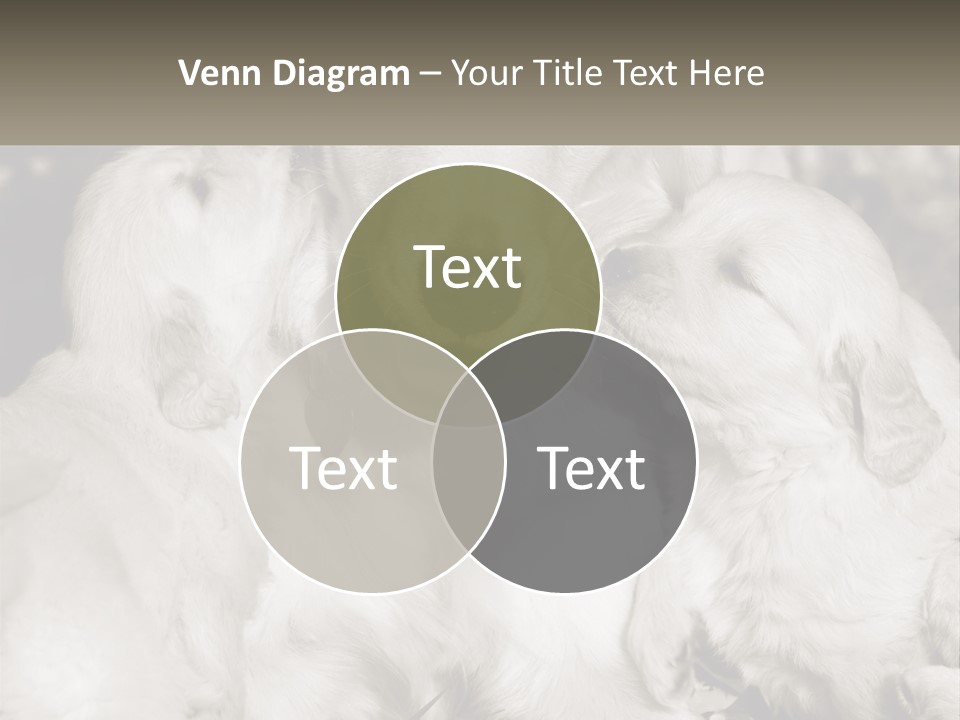 Puppy Breeding Motherhood PowerPoint Template