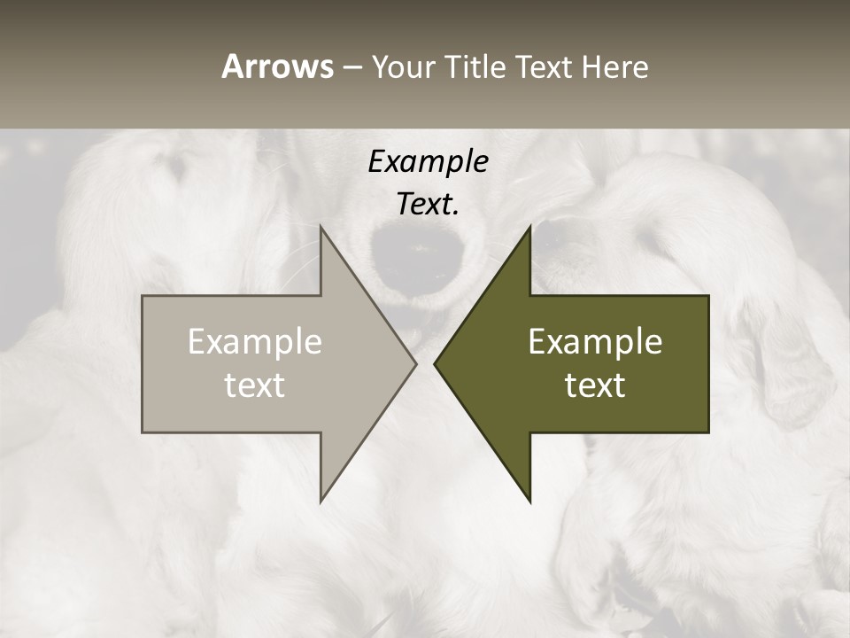 Puppy Breeding Motherhood PowerPoint Template