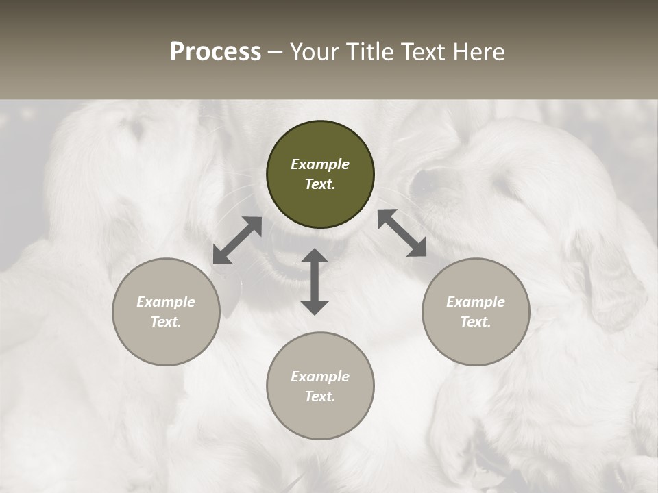 Puppy Breeding Motherhood PowerPoint Template