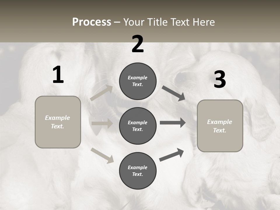 Puppy Breeding Motherhood PowerPoint Template