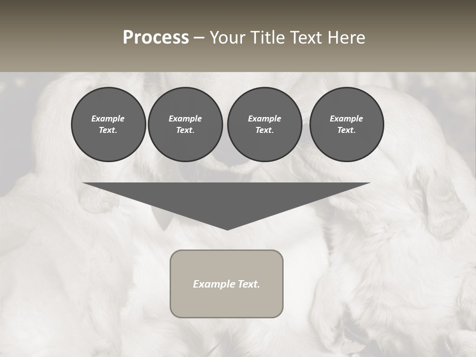 Puppy Breeding Motherhood PowerPoint Template