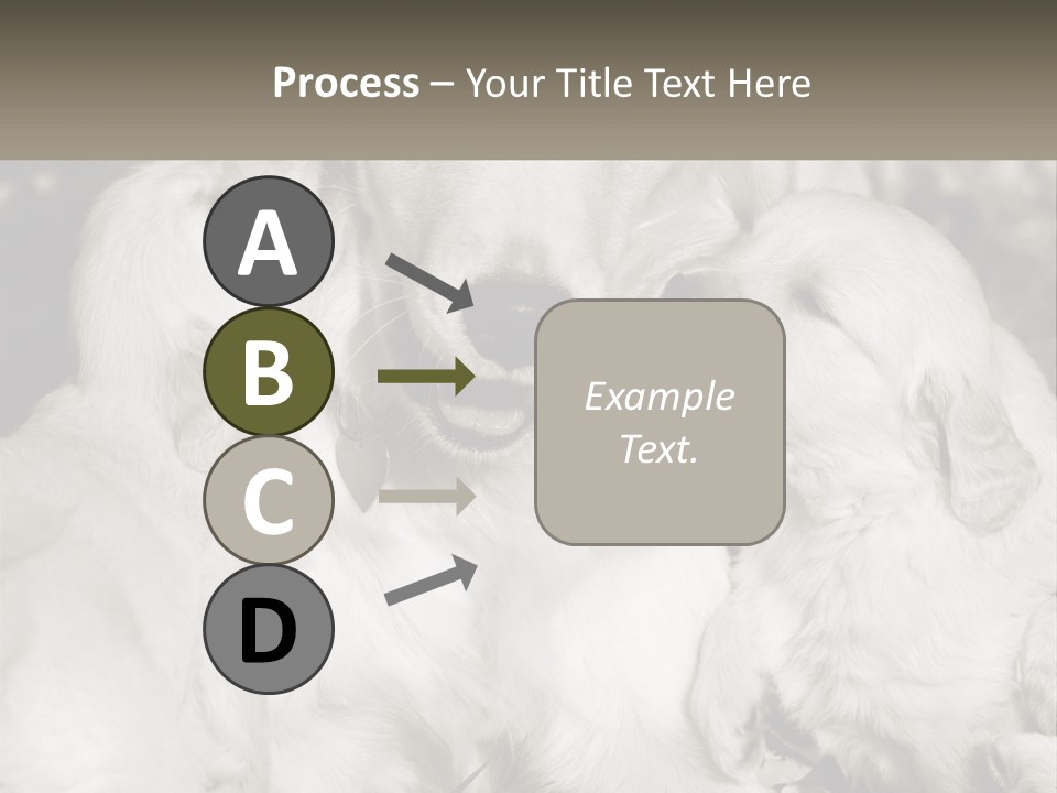 Puppy Breeding Motherhood PowerPoint Template