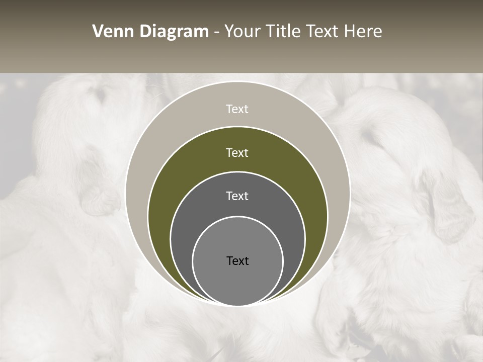 Puppy Breeding Motherhood PowerPoint Template