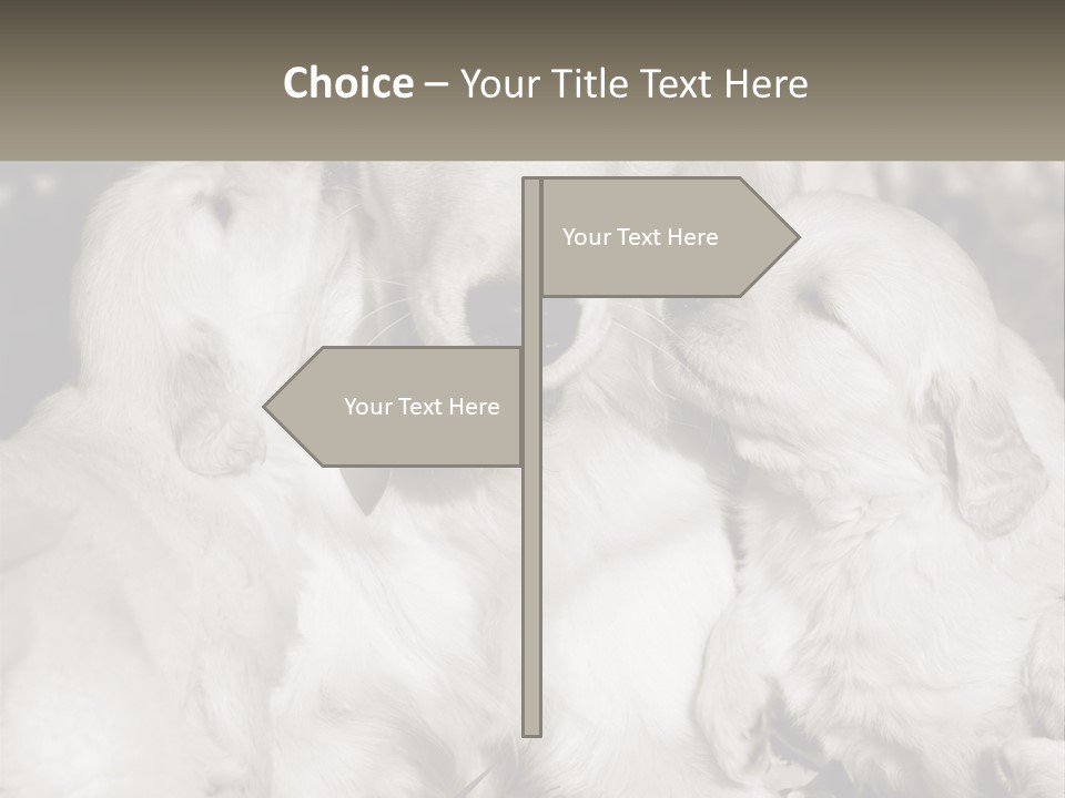 Puppy Breeding Motherhood PowerPoint Template