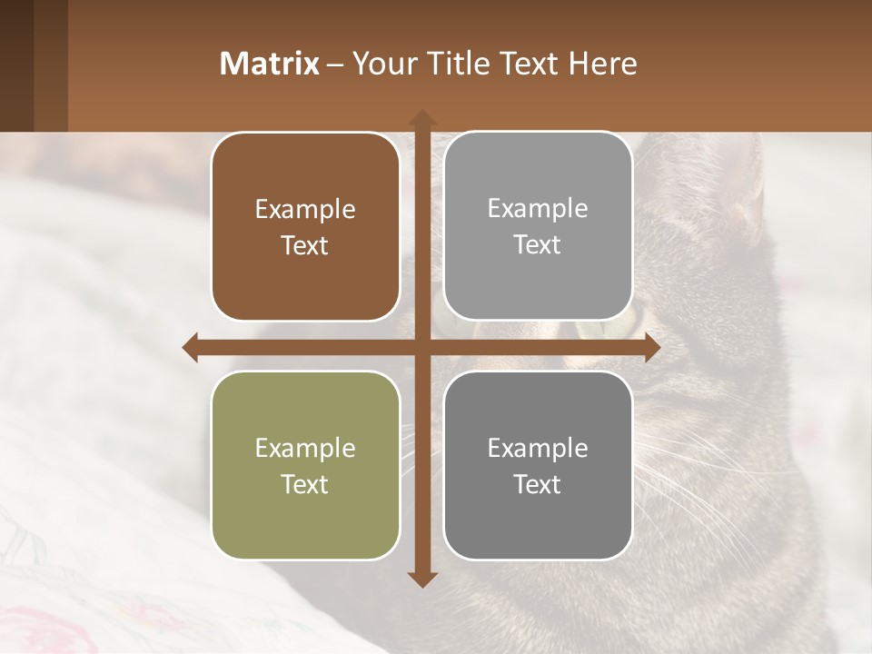 A Cat Sitting On Top Of A Bed Next To A Cat PowerPoint Template