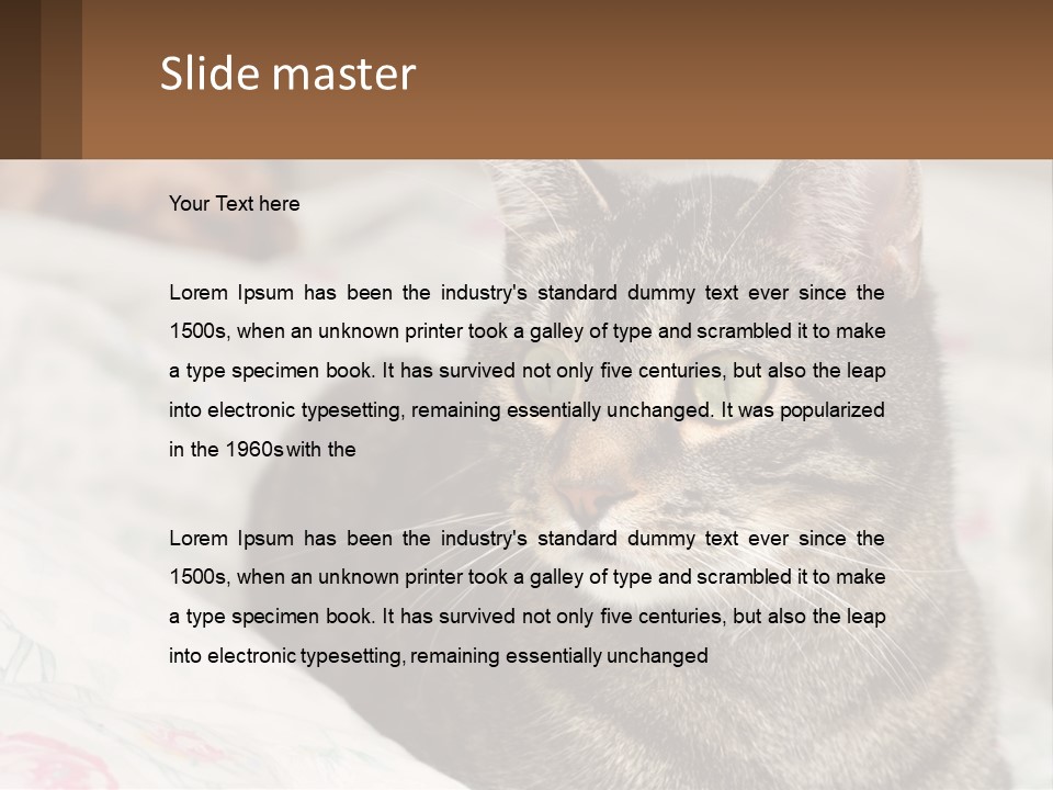 A Cat Sitting On Top Of A Bed Next To A Cat PowerPoint Template