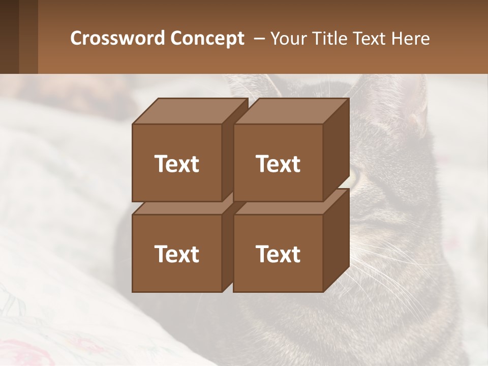 A Cat Sitting On Top Of A Bed Next To A Cat PowerPoint Template