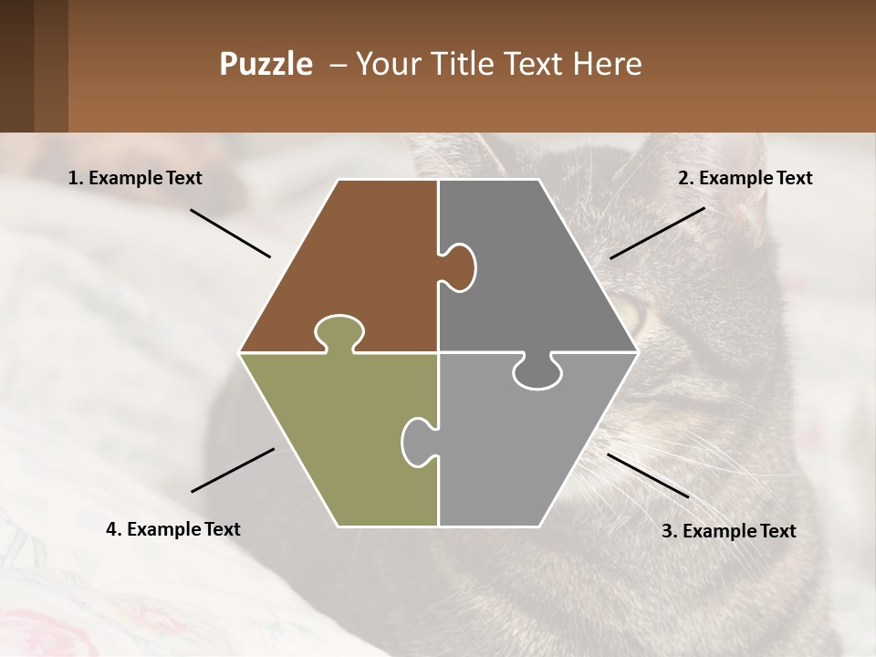 A Cat Sitting On Top Of A Bed Next To A Cat PowerPoint Template