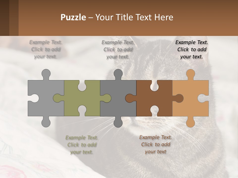 A Cat Sitting On Top Of A Bed Next To A Cat PowerPoint Template