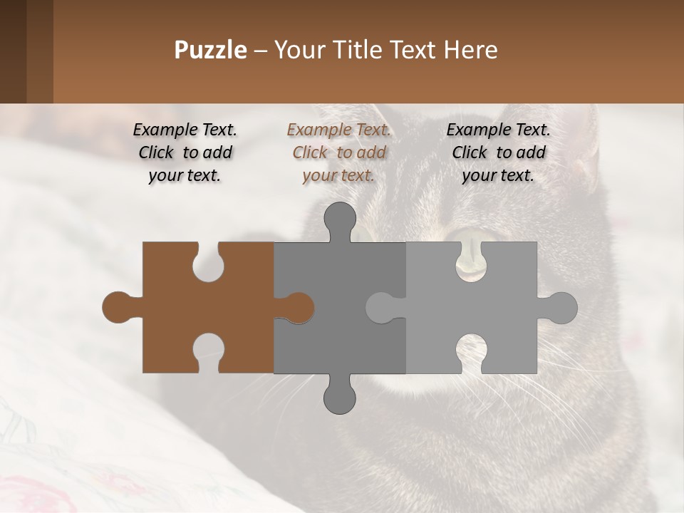 A Cat Sitting On Top Of A Bed Next To A Cat PowerPoint Template