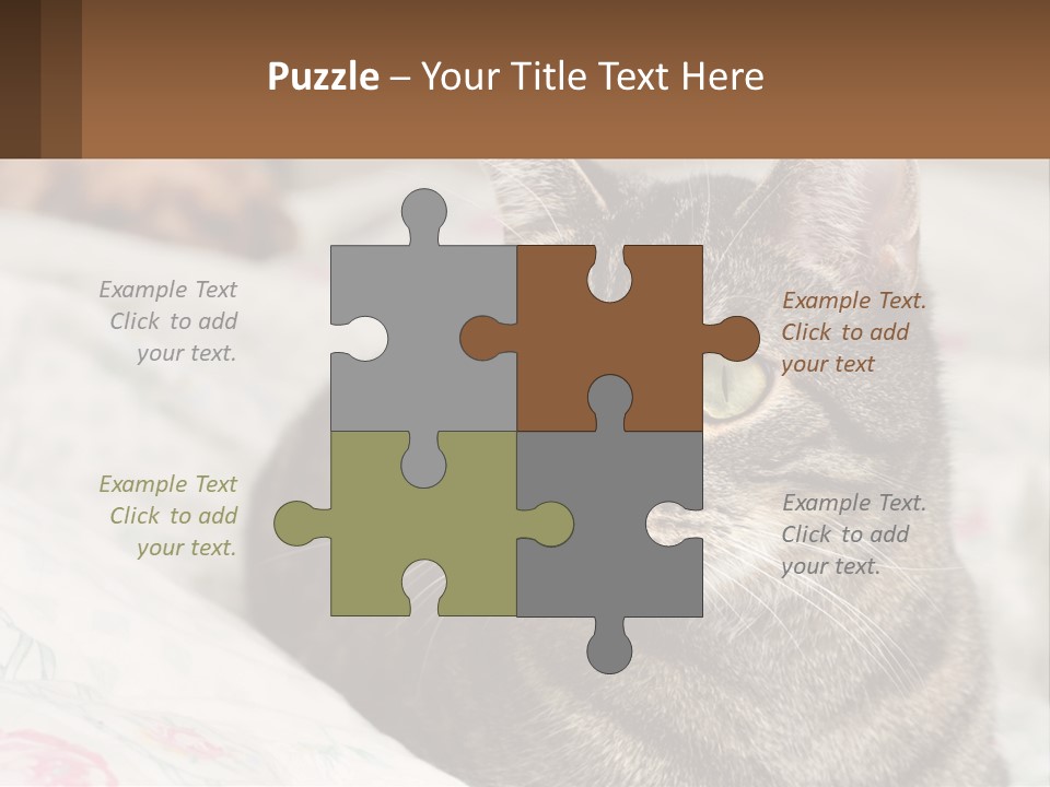 A Cat Sitting On Top Of A Bed Next To A Cat PowerPoint Template