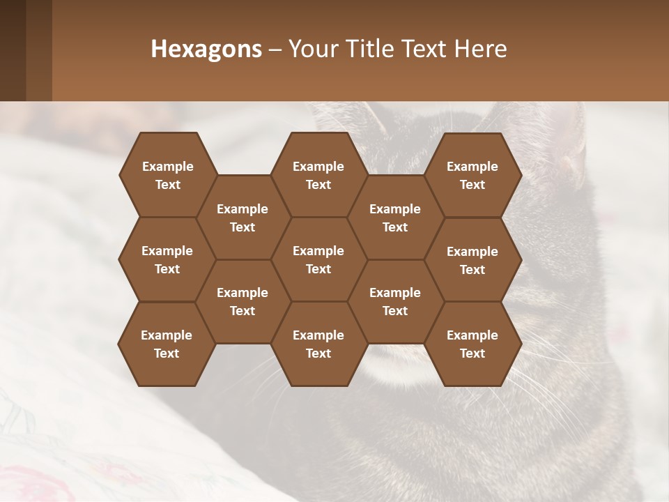 A Cat Sitting On Top Of A Bed Next To A Cat PowerPoint Template