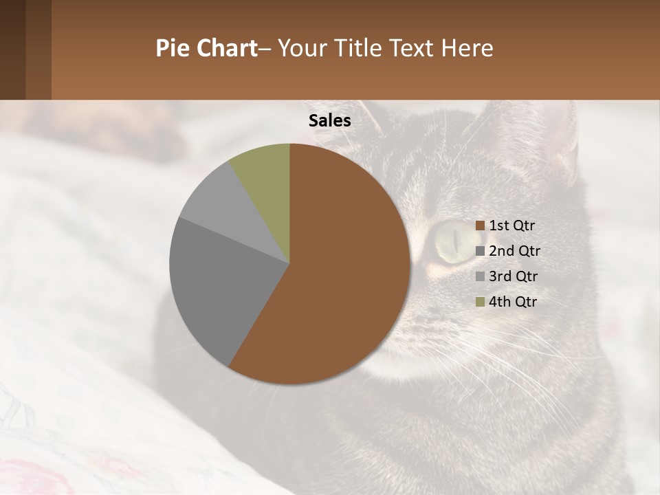 A Cat Sitting On Top Of A Bed Next To A Cat PowerPoint Template