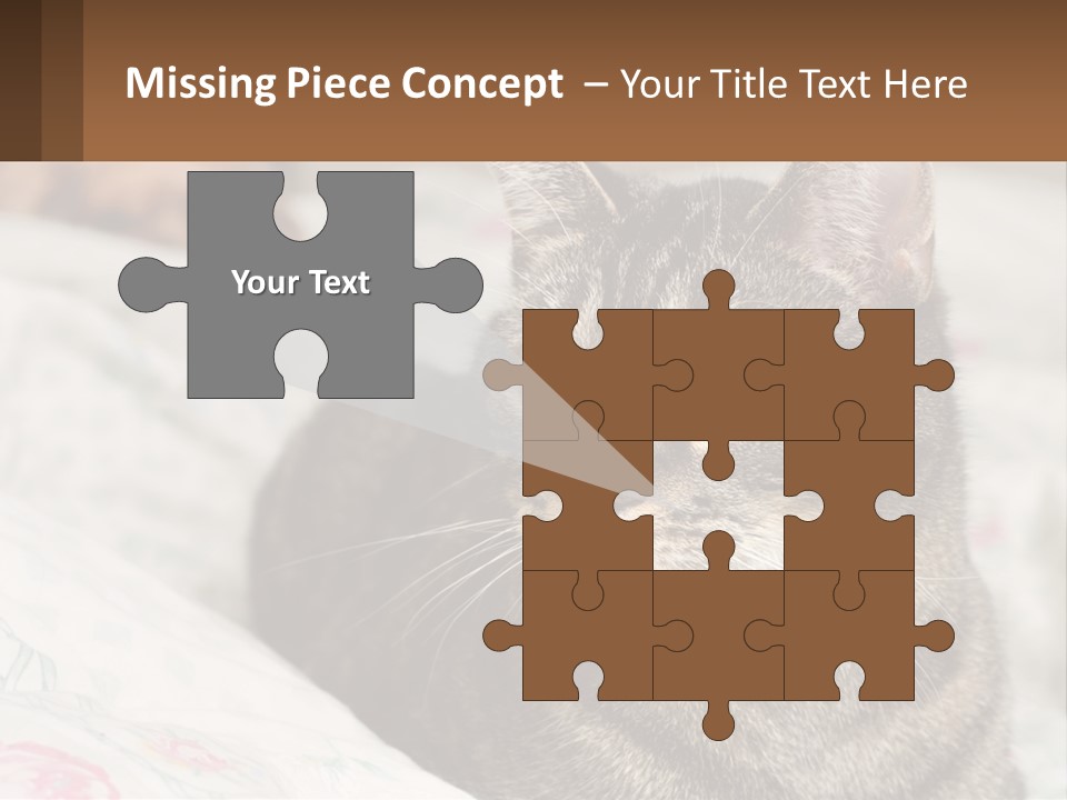 A Cat Sitting On Top Of A Bed Next To A Cat PowerPoint Template