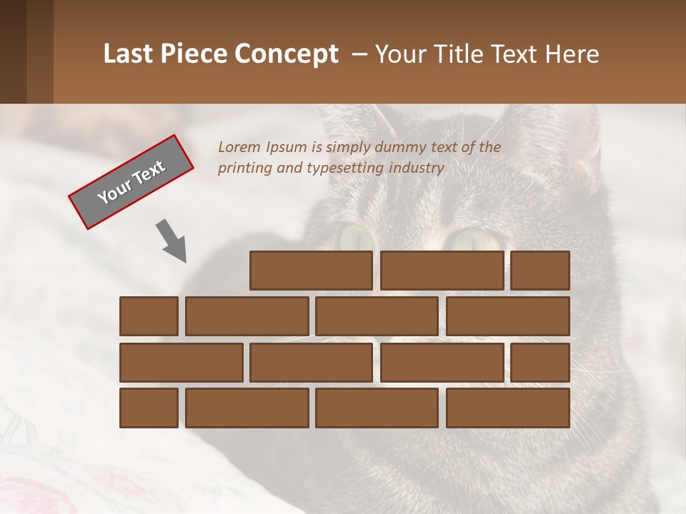 A Cat Sitting On Top Of A Bed Next To A Cat PowerPoint Template