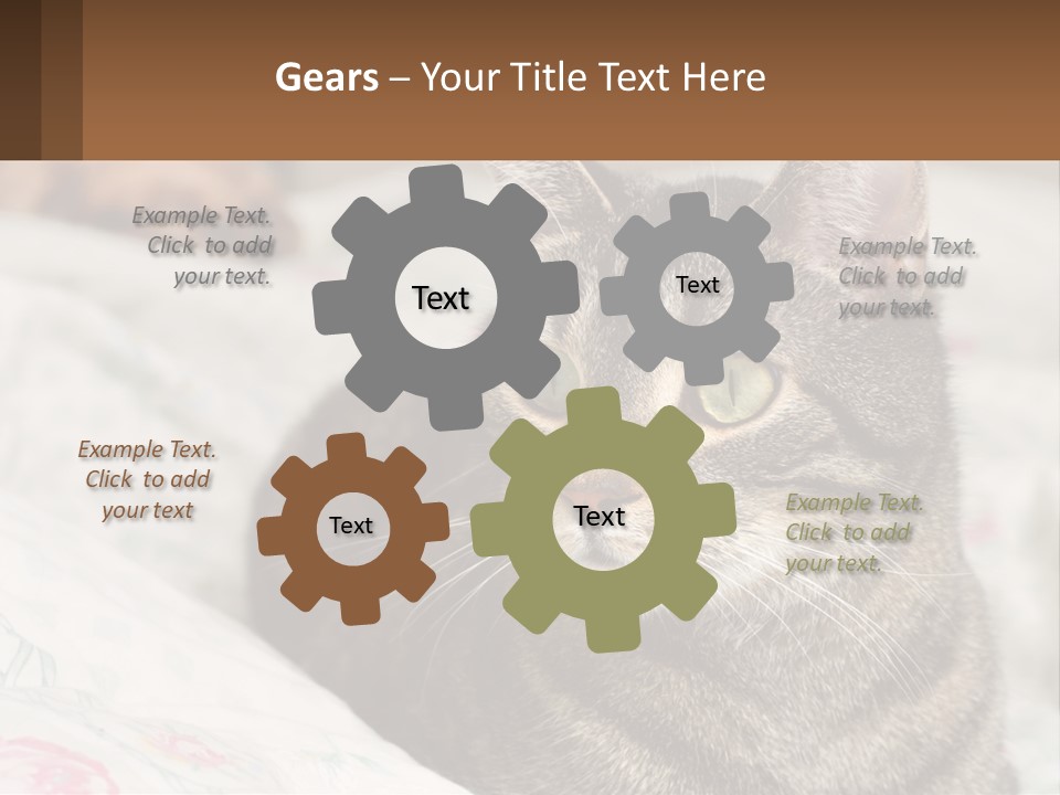 A Cat Sitting On Top Of A Bed Next To A Cat PowerPoint Template