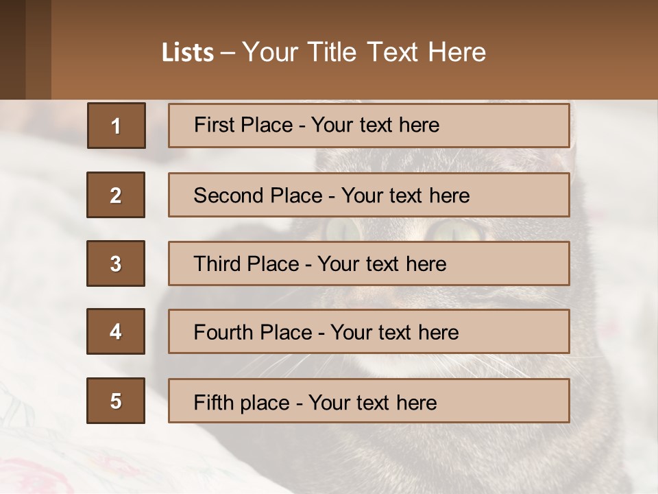 A Cat Sitting On Top Of A Bed Next To A Cat PowerPoint Template