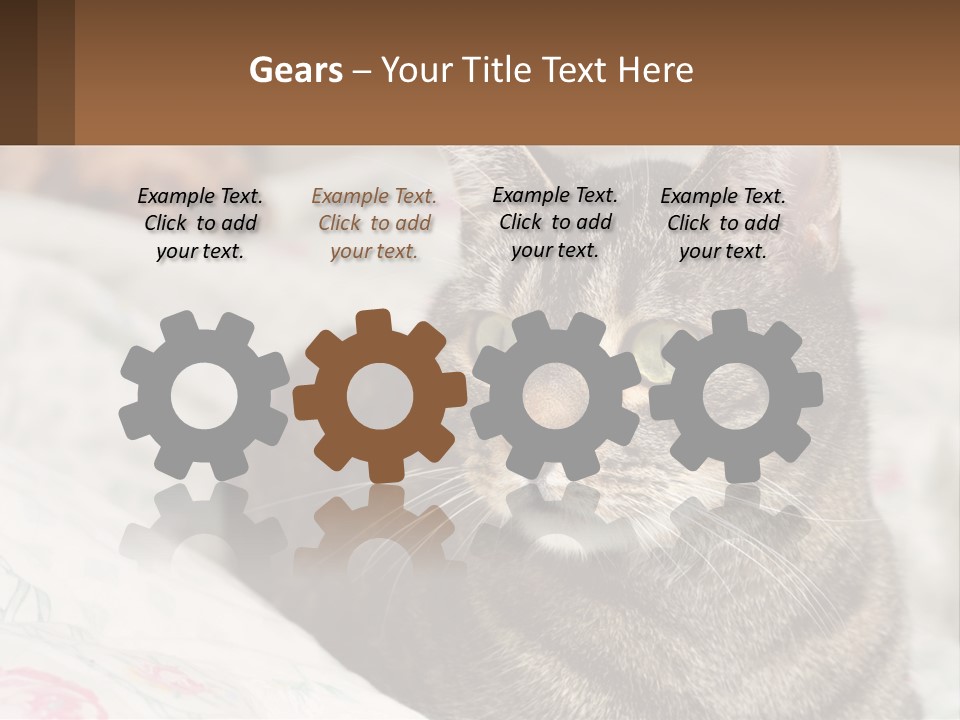 A Cat Sitting On Top Of A Bed Next To A Cat PowerPoint Template