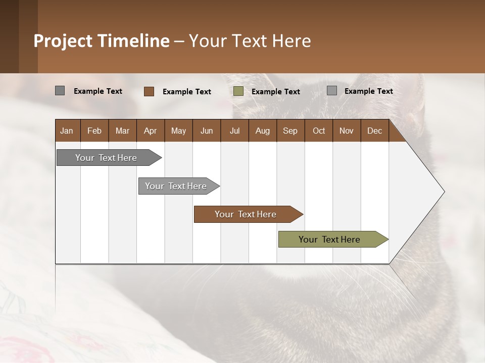 A Cat Sitting On Top Of A Bed Next To A Cat PowerPoint Template