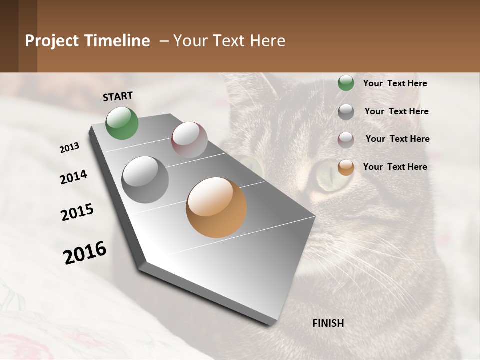 A Cat Sitting On Top Of A Bed Next To A Cat PowerPoint Template