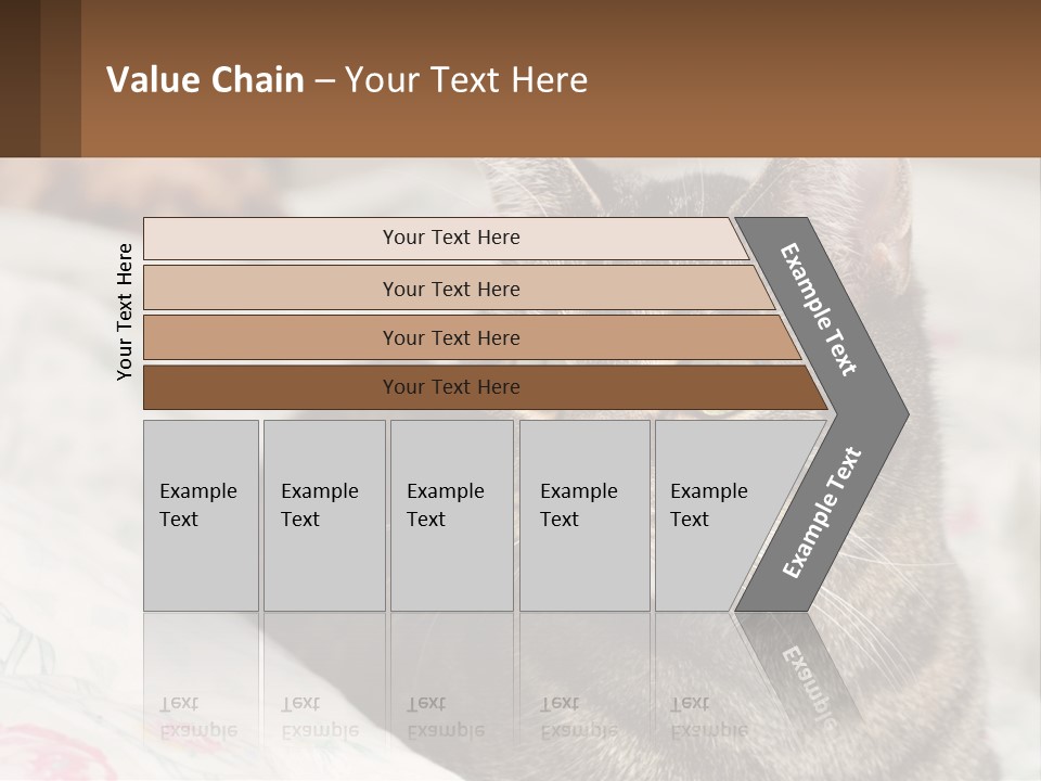 A Cat Sitting On Top Of A Bed Next To A Cat PowerPoint Template