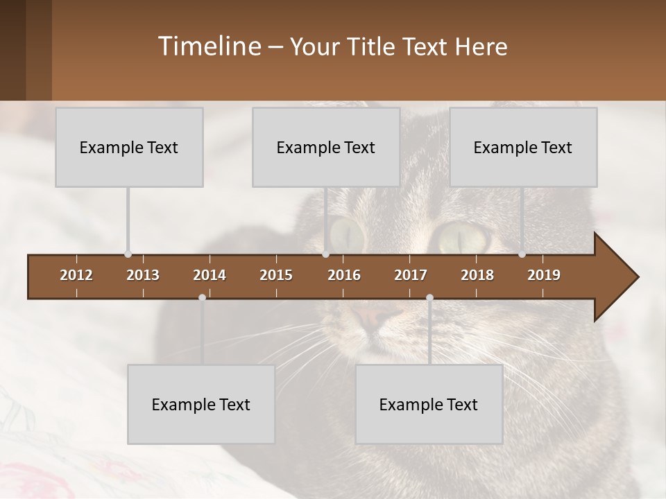 A Cat Sitting On Top Of A Bed Next To A Cat PowerPoint Template