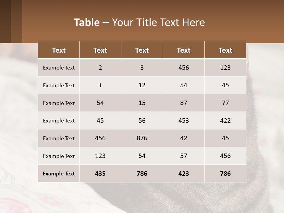 A Cat Sitting On Top Of A Bed Next To A Cat PowerPoint Template