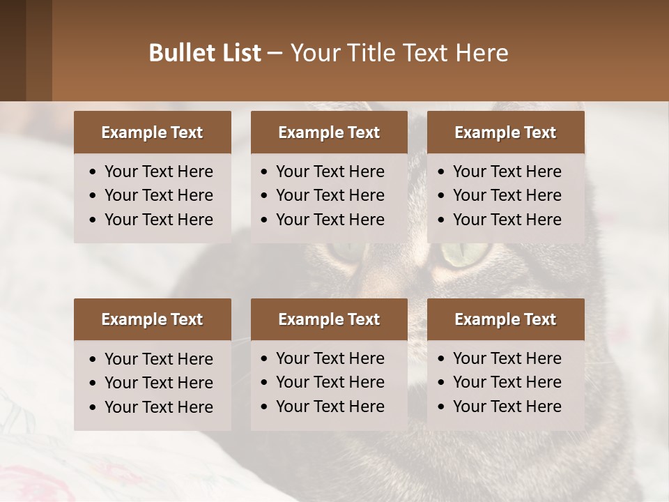 A Cat Sitting On Top Of A Bed Next To A Cat PowerPoint Template