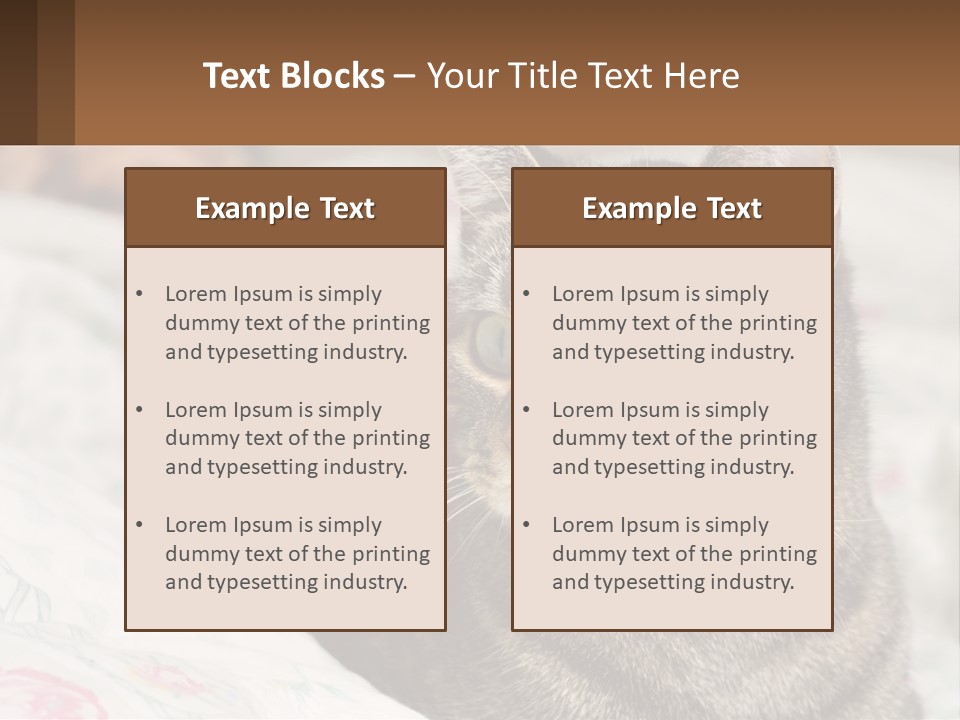A Cat Sitting On Top Of A Bed Next To A Cat PowerPoint Template