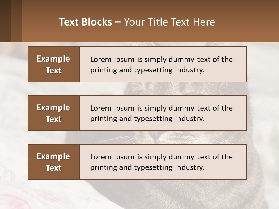 A Cat Sitting On Top Of A Bed Next To A Cat PowerPoint Template