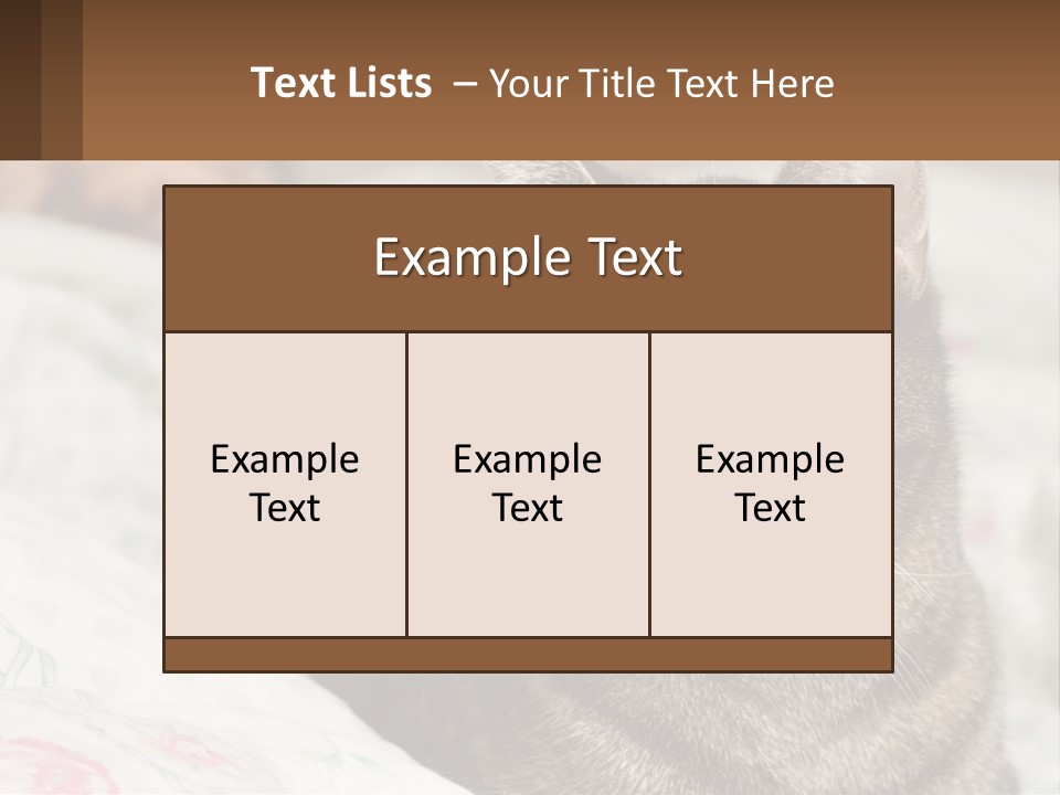 A Cat Sitting On Top Of A Bed Next To A Cat PowerPoint Template