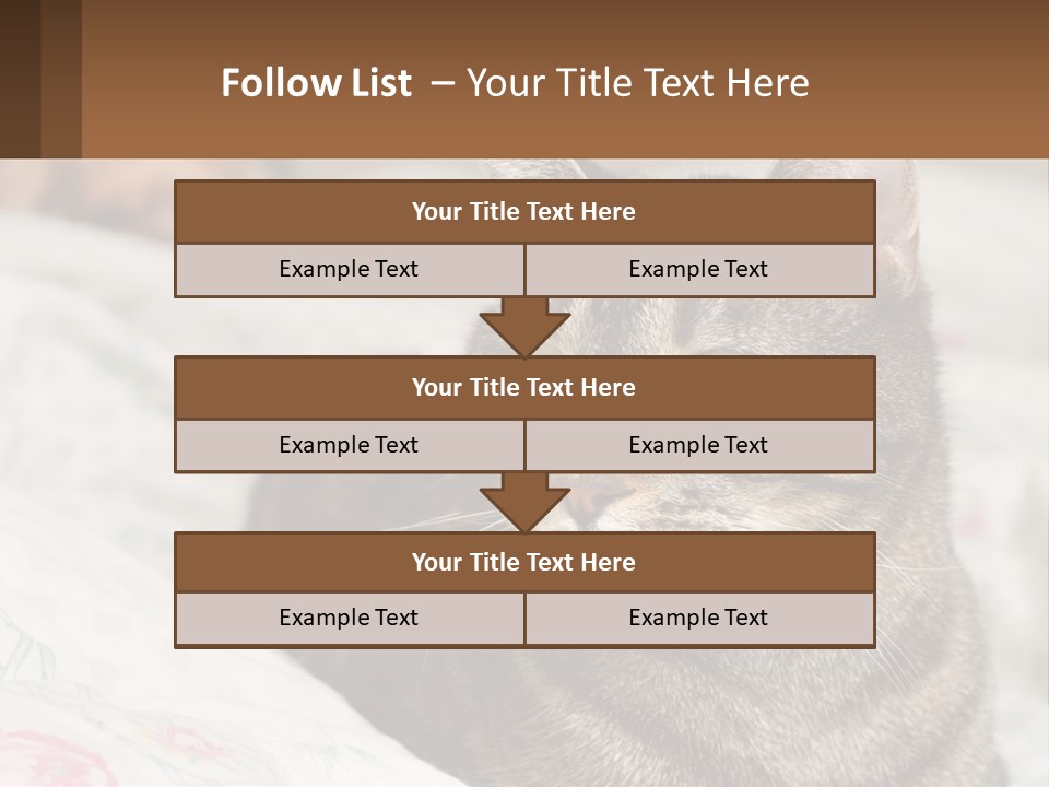 A Cat Sitting On Top Of A Bed Next To A Cat PowerPoint Template