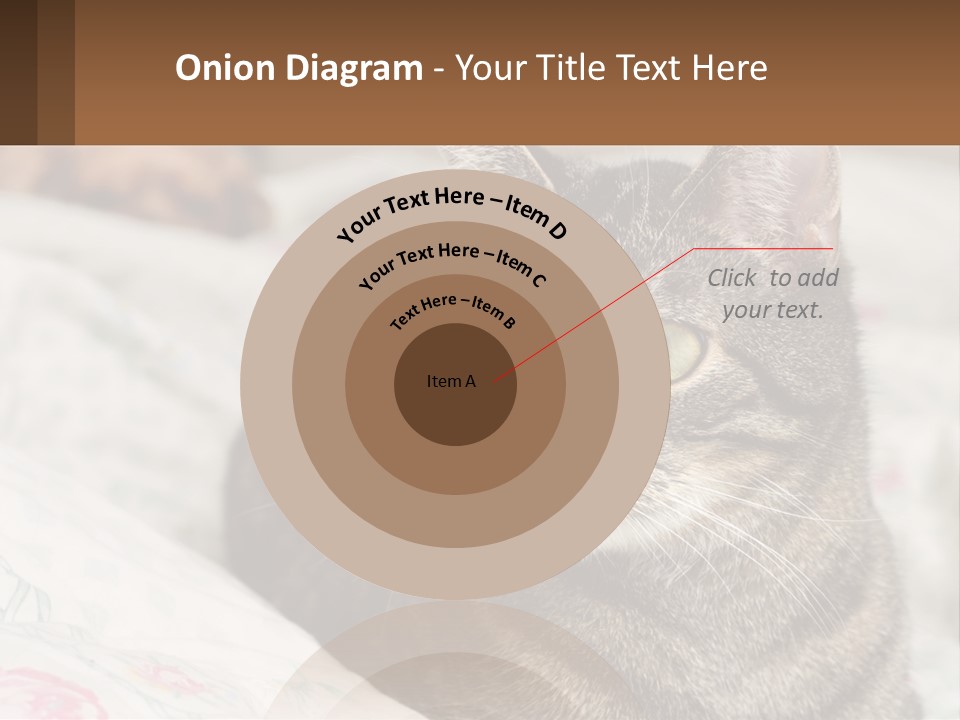 A Cat Sitting On Top Of A Bed Next To A Cat PowerPoint Template