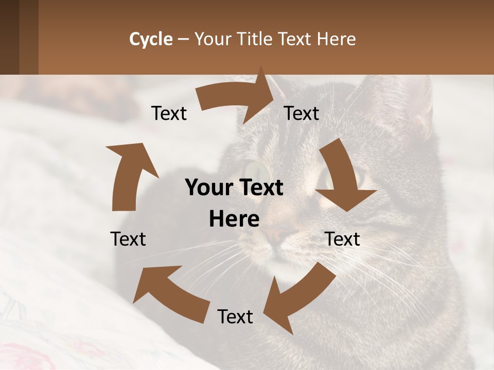 A Cat Sitting On Top Of A Bed Next To A Cat PowerPoint Template