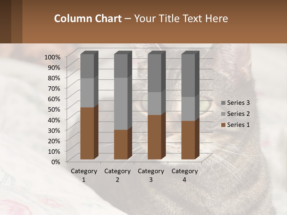 A Cat Sitting On Top Of A Bed Next To A Cat PowerPoint Template