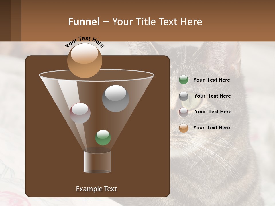 A Cat Sitting On Top Of A Bed Next To A Cat PowerPoint Template