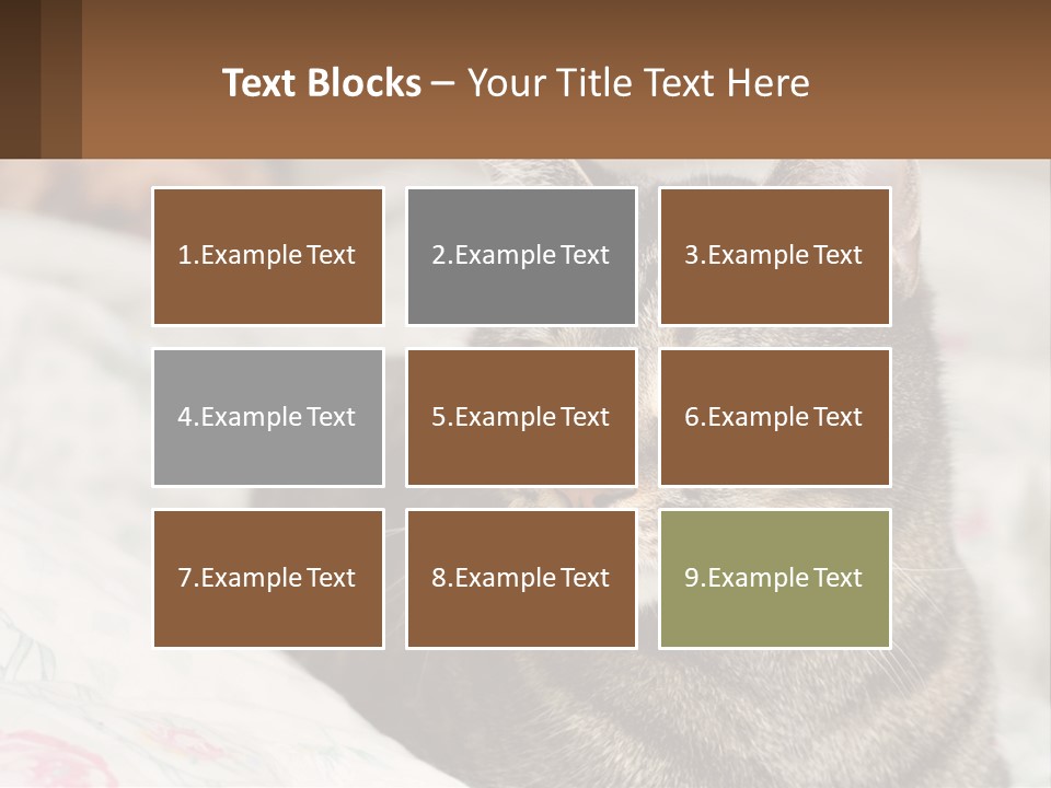 A Cat Sitting On Top Of A Bed Next To A Cat PowerPoint Template