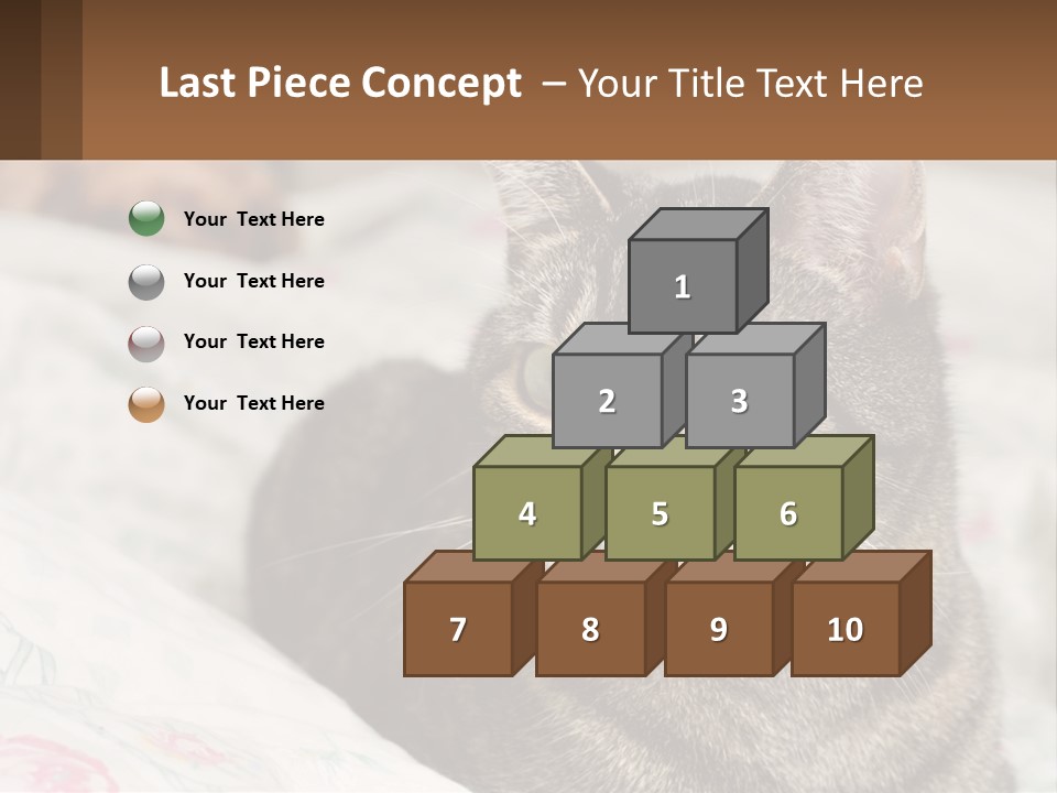 A Cat Sitting On Top Of A Bed Next To A Cat PowerPoint Template