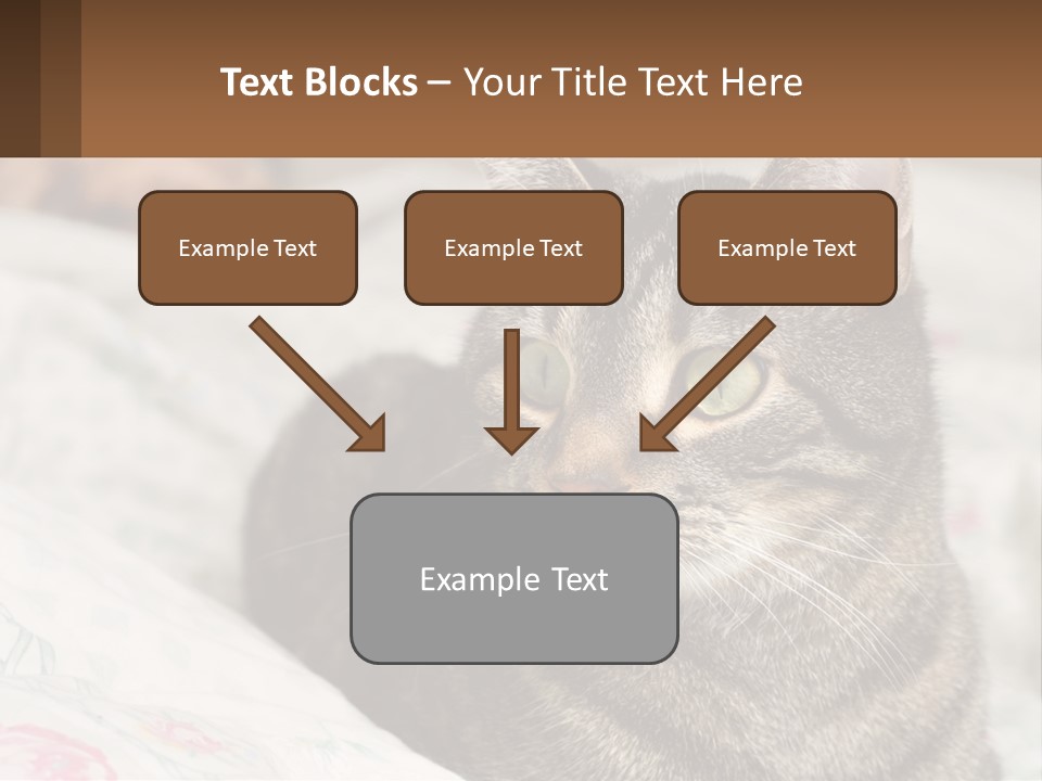 A Cat Sitting On Top Of A Bed Next To A Cat PowerPoint Template