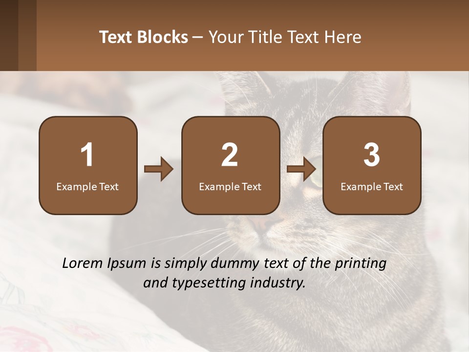 A Cat Sitting On Top Of A Bed Next To A Cat PowerPoint Template