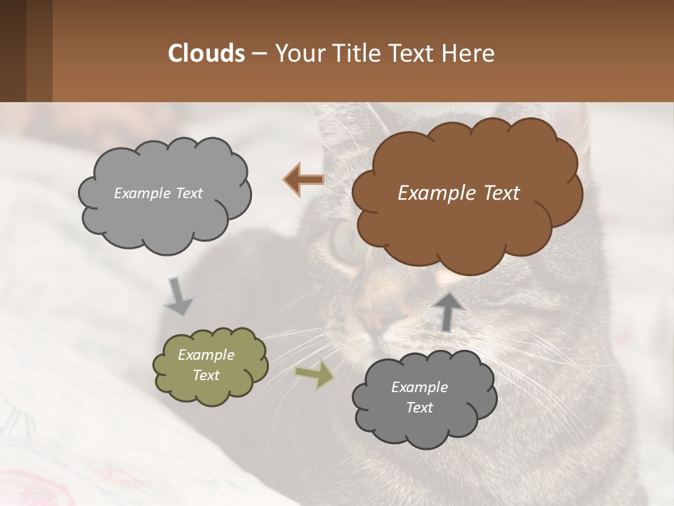 A Cat Sitting On Top Of A Bed Next To A Cat PowerPoint Template