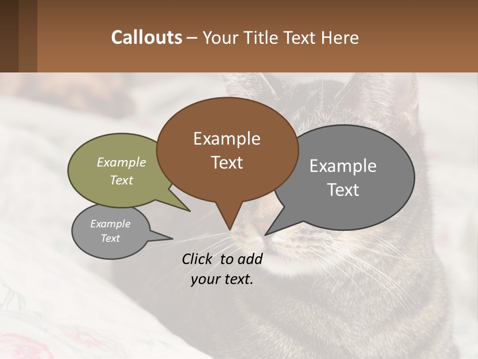 A Cat Sitting On Top Of A Bed Next To A Cat PowerPoint Template