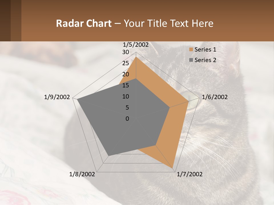 A Cat Sitting On Top Of A Bed Next To A Cat PowerPoint Template