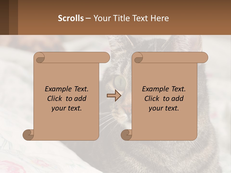 A Cat Sitting On Top Of A Bed Next To A Cat PowerPoint Template